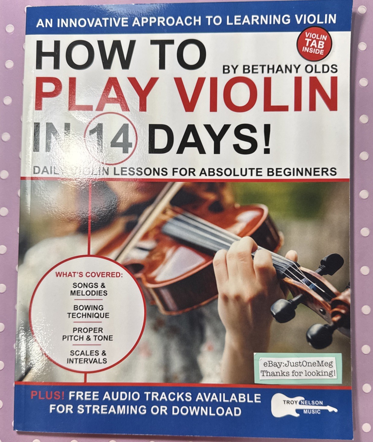 How to Play Violin in 14 Days Daily Violin Lessons for Absolute Beginners