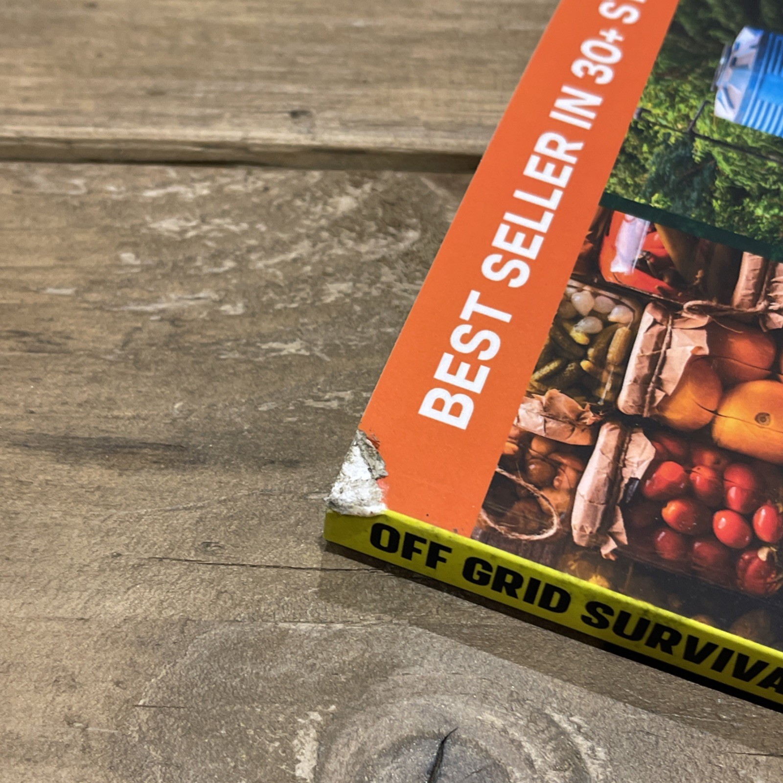 Off Grid Survival Book: Diy Survival Project Book – No Grid Survival Guide