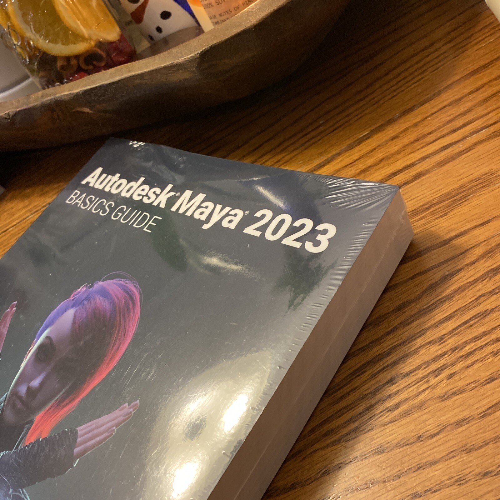 Autodesk Maya 2023 Basics Guide by Kelly L. Murdock (2022, Trade Paperback)