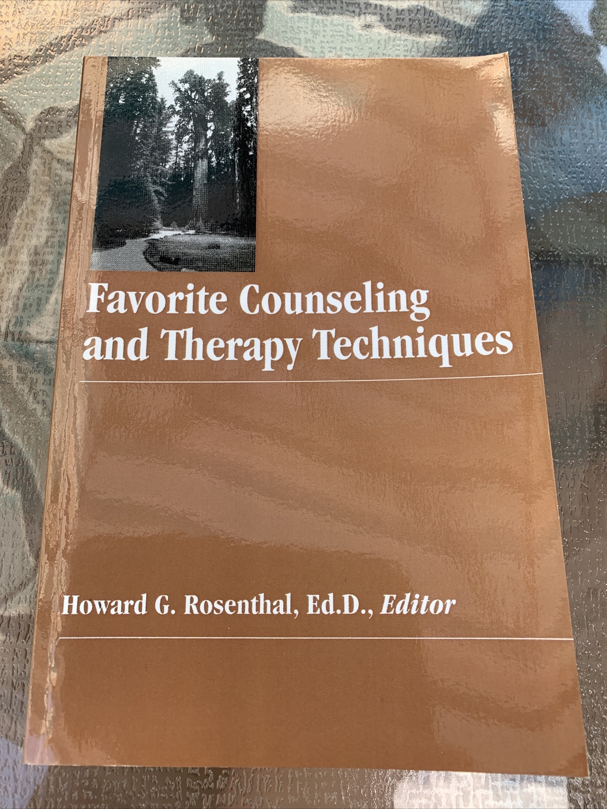 FAVORITE COUNSELING AND THERAPY TECHNIQUES: 51 THERAPISTS By Howard Rosenthal