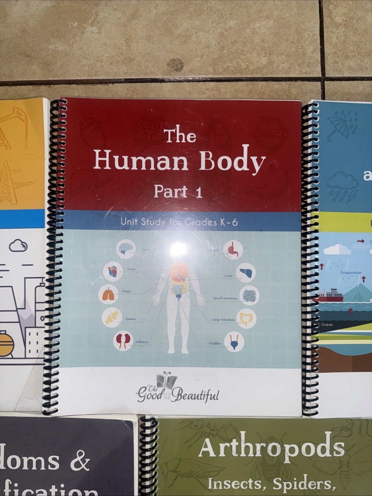 Good and the Beautiful Science Unit Set K-8 Energy Human Body Botany More